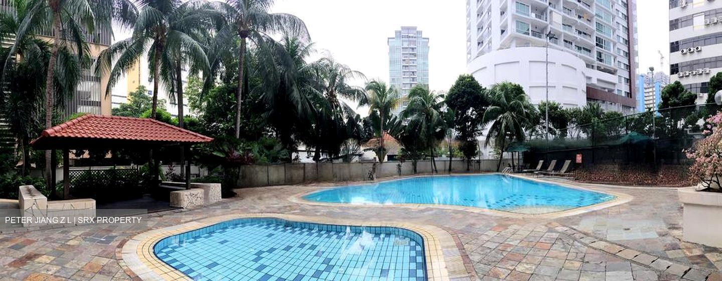 Ritz Mansion (D12), Apartment #463213061